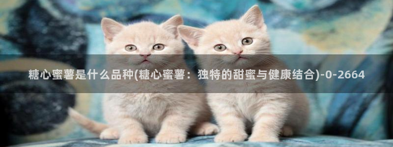 糖心一：糖心蜜薯是什么品种(糖心蜜薯：独特的甜蜜与健康结合)