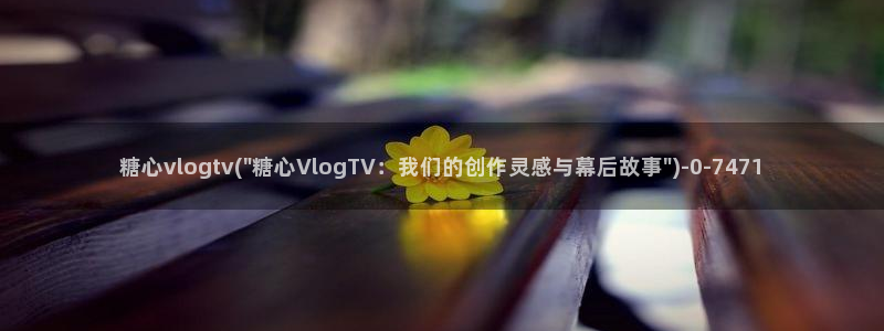 糖心vlgoaPP下载