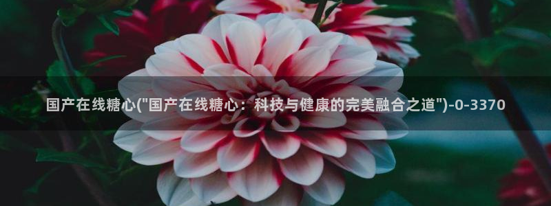 糖心成年版糖心vlog