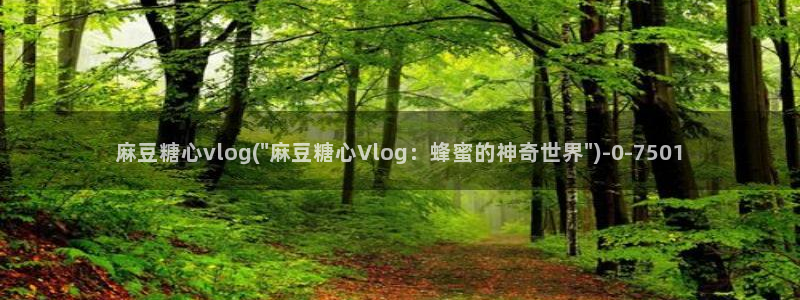 心糖vlo